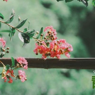 亿博体育app的下载方式